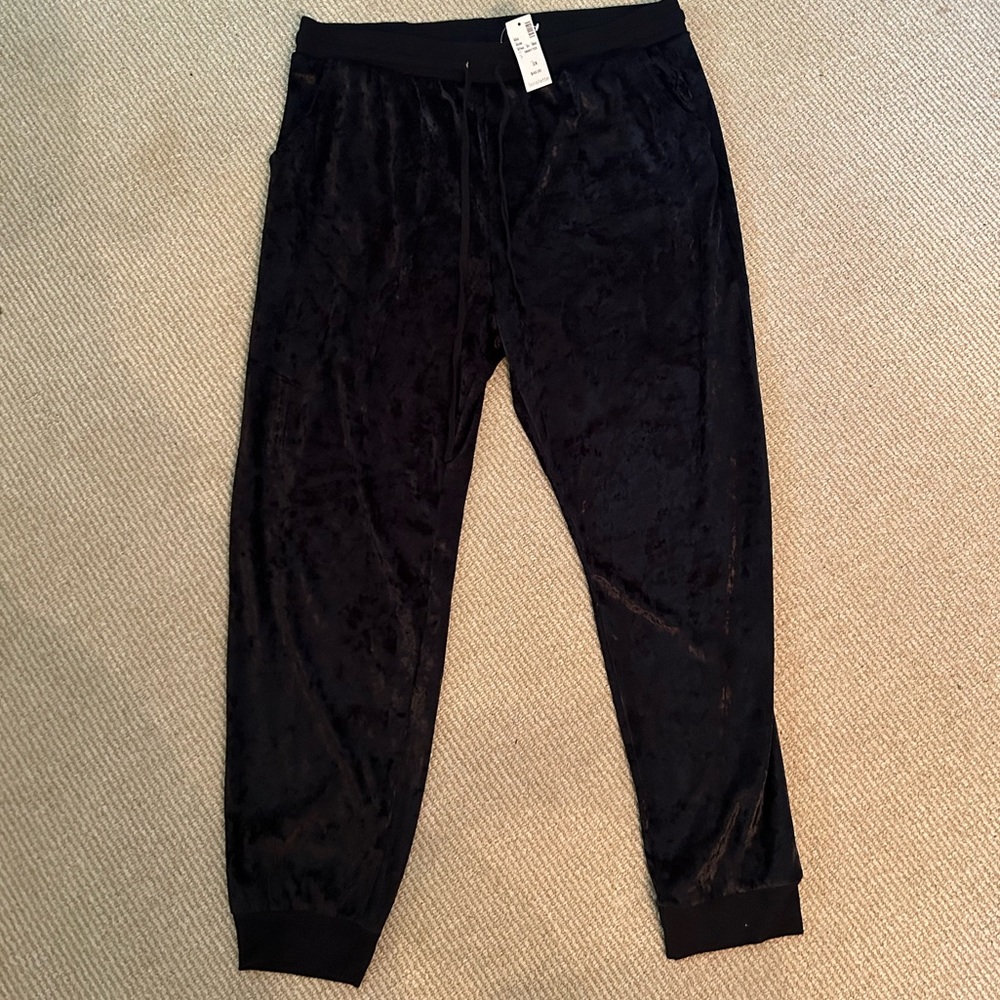 NWT Loralette Velvet Drawstring Joggers 2X